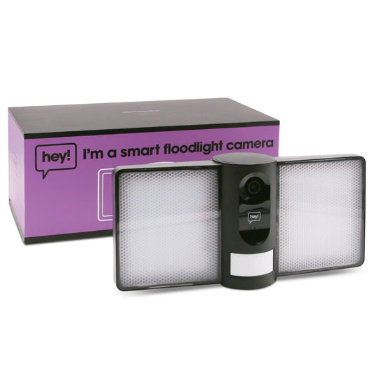 Smart Floodlight Camera