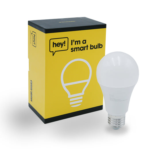 Smart Bulb E27 & B22